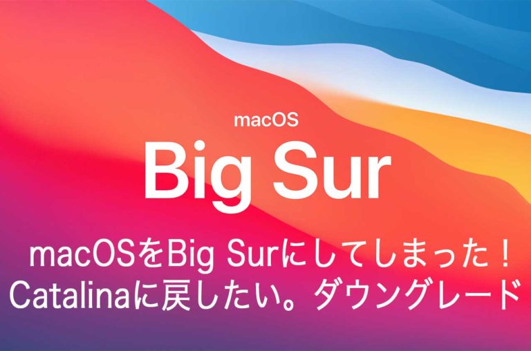 Macosをbig Surにしてしまったが Catalinaに戻したい ダウングレードの方法 I Net